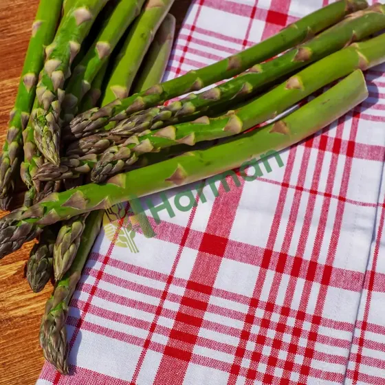 Asparagus