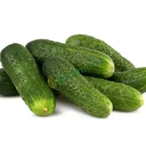 Cucumbers