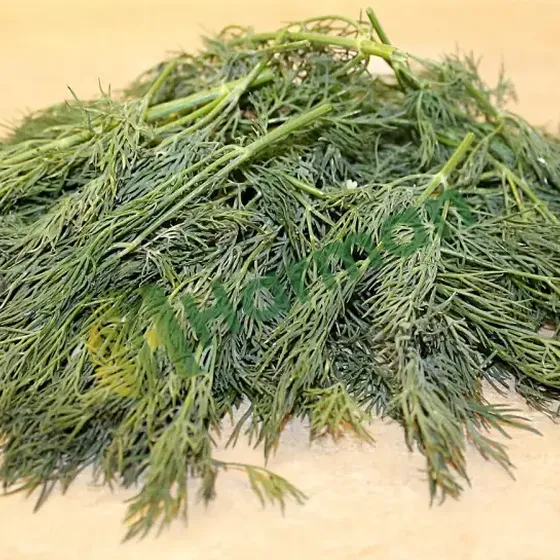 Dill