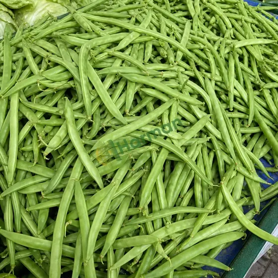 Green Beans