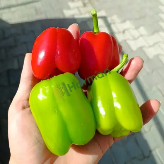 Peppers