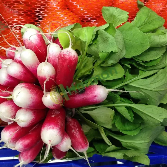 Radishes