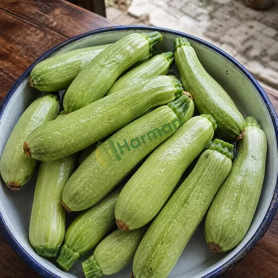 Zucchini